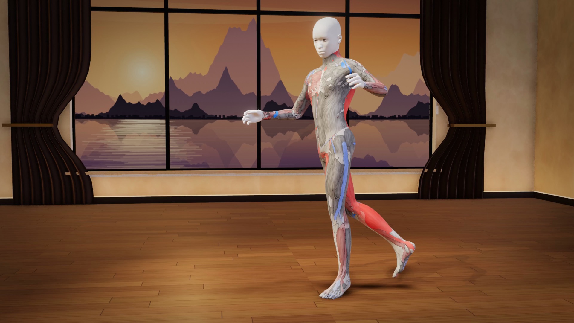 A 3D dancer with the working muscles shown in red and the stretching tissue in blue